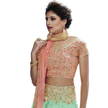 Light green embroidered net unstitched lehenga with dupatta 2