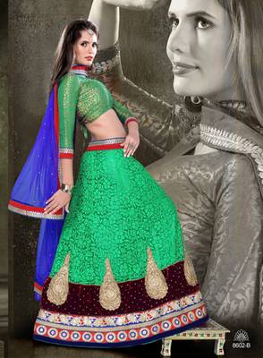 Green With Blue Color  Heavy Patch With Velvet And Daimond Work Nett Brasso With 1
