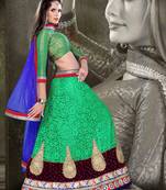 Green With Blue Color  Heavy Patch With Velvet And Daimond Work Nett Brasso With