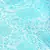 Paisleys N Bootis Design Turquoise Kashmiri Stole