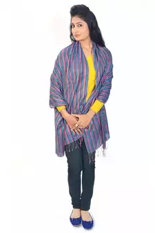 Multi Colour Stripes Pattern Reversible Silk Stole