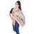 Paisley Designs Reversible Multi Color Silk Stole