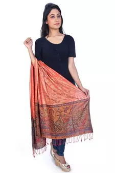 Cute Paisley N Floral Designer Kashmiri Silk Stole