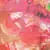 Elegant Floral Design Multi-Color Kashmiri Stole