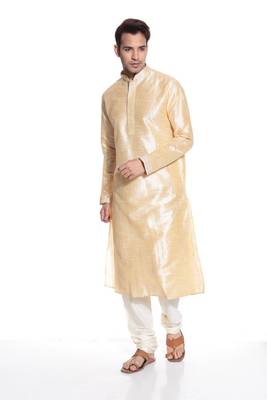 Indian Poshakh Kurta Pajama Threading Work 2