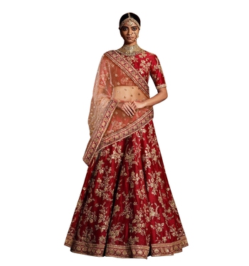Bridal Lehenga choli with heavy lace 