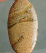 84.55cts A++ Attractive Dinosaur Jasper 57X30X6 Mm Loose Gemstone