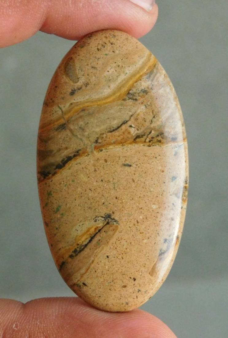 84.55cts A++ Attractive Dinosaur Jasper 57X30X6 Mm Loose Gemstone