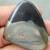 179.4cts fab 100% natural  apache gold pyrite 52x44 cabochon  loose gemstone