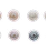 Natural Fresh Water Pearls Studs Combo