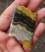 153.8 Cts Fab A+++ Marvelous Bumbble Bee Jasper Fancy 64Mm Slice Loose Cabochon
