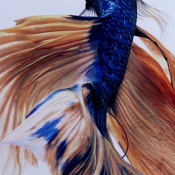 Multicolor Deep Shades Fish Canvas Painting 2