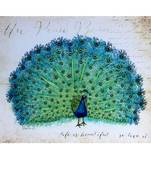 Dancing Peacock Canvas Painting