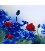 Deep Red & Blue Hues Floral Canvas Painting
