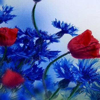 Deep Red & Blue Hues Floral Canvas Painting 2
