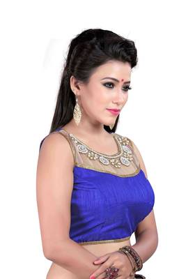 Blue Embroidered Banglori Silk Designer Blouse 2