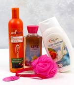 Bio Care Grooming Hamper for Female