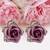 Purple cubic zirconia earrings