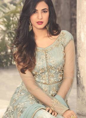 Sky Blue Embroidered Net Anarkali Semi Stitched Salwar With Dupatta 2