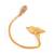 Gold Plain Men Earrings