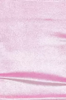 Pink Velvet Palin stitched blouse