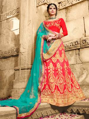 Pink Embroidered Net Semi Stitched Lehenga 1