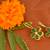 Kundan Stone Semi Precious Gold Plated Floral Dangler Earrings