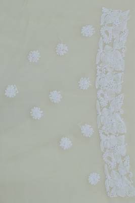 Ada Hand Embroidered Lemon Faux Georgette Lucknow Chikankari Saree With Blouse 4