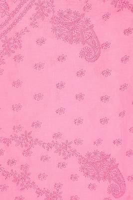 Ada Hand Embroidered Pink Cotton Lucknow Chikankari Saree With Blouse 4