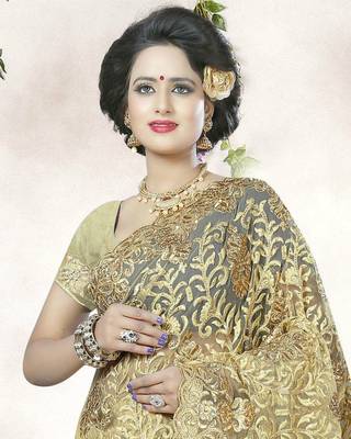 Multicolor embroidered net saree with blouse 3