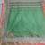 Shriya Saran Green Bollywood Replica saree with blouse