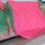 Shriya Saran Green Bollywood Replica saree with blouse