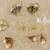 Royal golden Pearl jumkis adjustable earrings,Five designs
