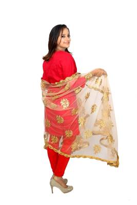 Golden net dupatta with embroidery work 3