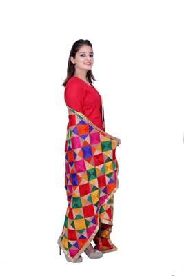 Multi colour triagle design with phulkari embroidery work 2