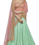 Sea -Green Embroidered Net Lehenga With Dupatta