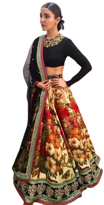 Multicolor Embroidered Velvet Blouse Unstitched Lehenga 1