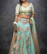 Light green embroidered net stitched lehenga with dupatta