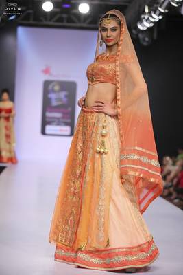 Light peach embroidered net stitched lehenga with dupatta 1