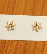 Champagne Colour Flower Gold Plated Studs