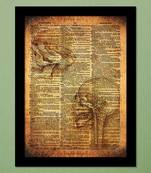 Leonardo Da Vinci Anatomy Skull Drawing Wall Hanging Art Print by Engrave
