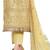 Gold embroidered tissue salwar with dupatta