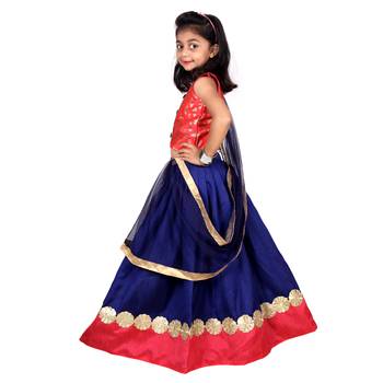 Blue Embroidered Silk Stitched Lehenga 2