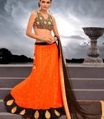 Orange Net Embroidered Lehenga With Brown Choli and Dupatta