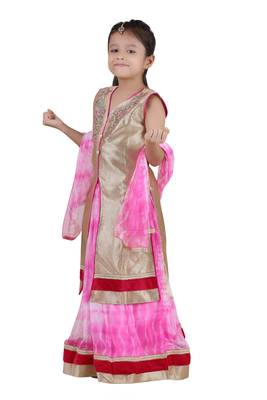 Pink Embroidered Net Kids Lehenga Choli 2