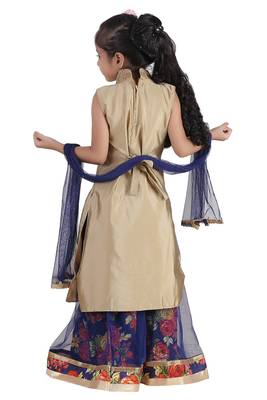 Blue Embroidered Net Kids Lehenga Choli 4