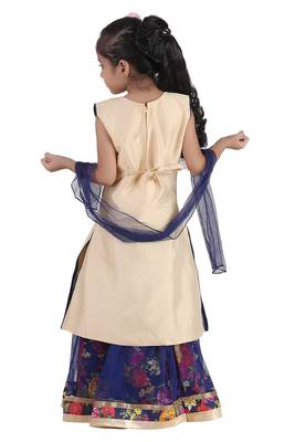 Blue Embroidered Net Kids Lehenga Choli 4