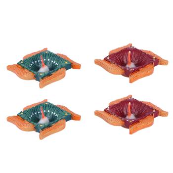 Aapno Rajasthan Multicolor Teracotta Swastik Design Diyas For Diwali - Set Of 4 2