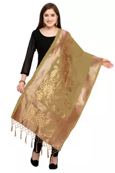 Gray Banarasi Silk Zari Woven Dupatta