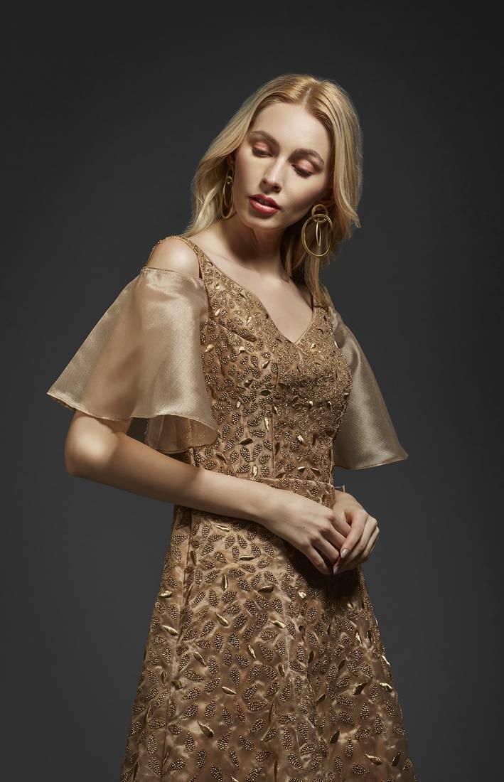 Khwaab Golden Organza Aline Gown